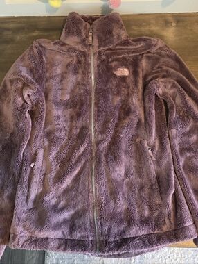 The North Face Plum Plush Full-Zip Fleece Jacket